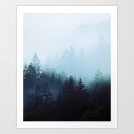 Welsh Trees In The Mists Art Print