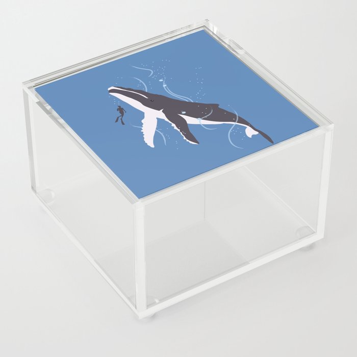 Humpback Whale and Human Acrylic Box