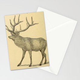 Naturalist Elk Stationery Card