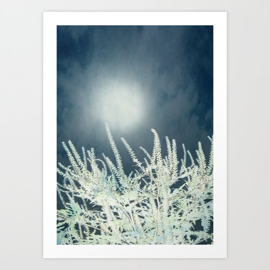 Silver Moon Art Print