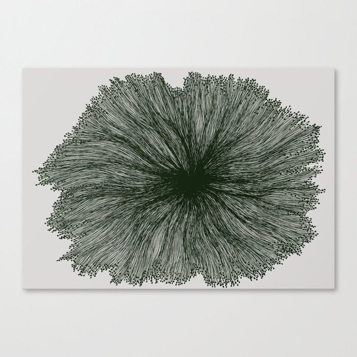 Jellyfish Flower B Canvas Print