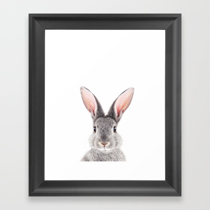 Grey Bunny, Baby Rabbit, Kids Art, Baby Animals Art Print By Synplus Framed Art Print