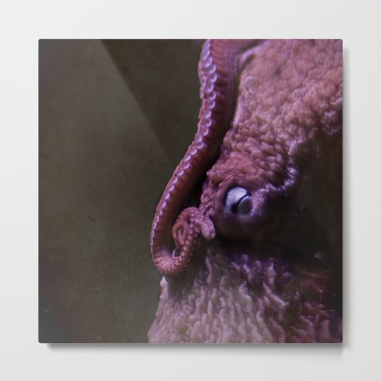 Suspended Consciousness Metal Print