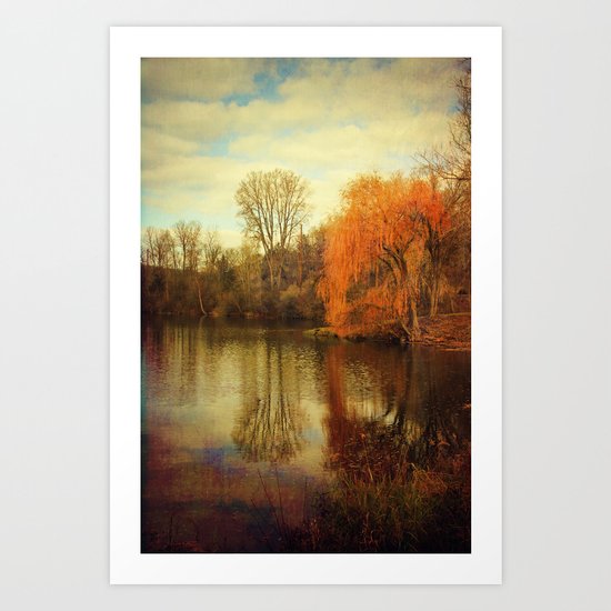 Pond Art Print