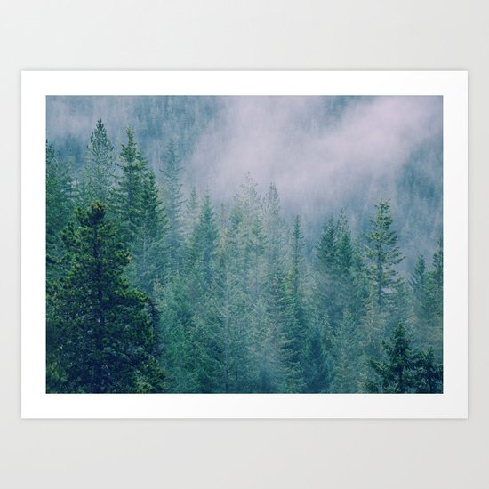 Foggy Forest in Squamish, British Columbia Art Print