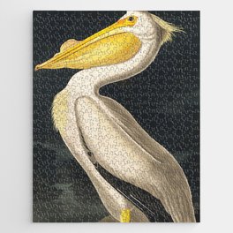 American White Pelican from Birds of America (1827) by John James Audubon Jigsaw Puzzle