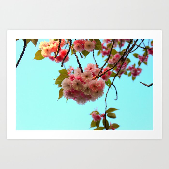 blossom Art Print