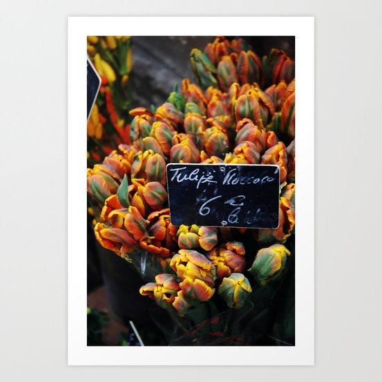 French Blooms Art Print