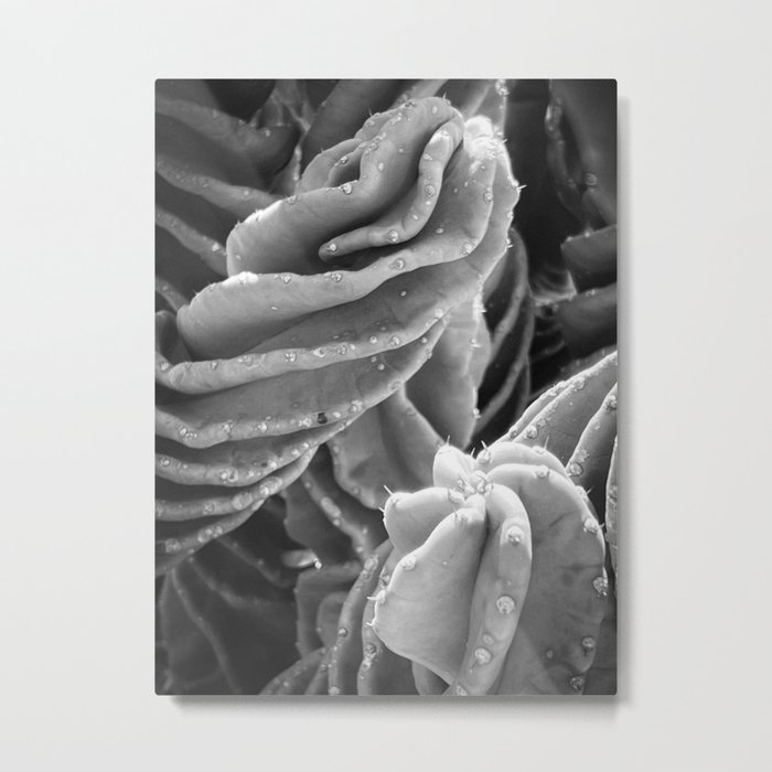 Abstract Cactus Metal Print