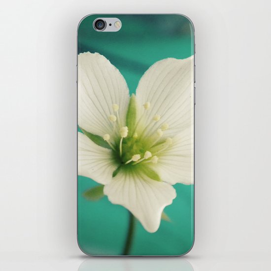 Venus iPhone & iPod Skin