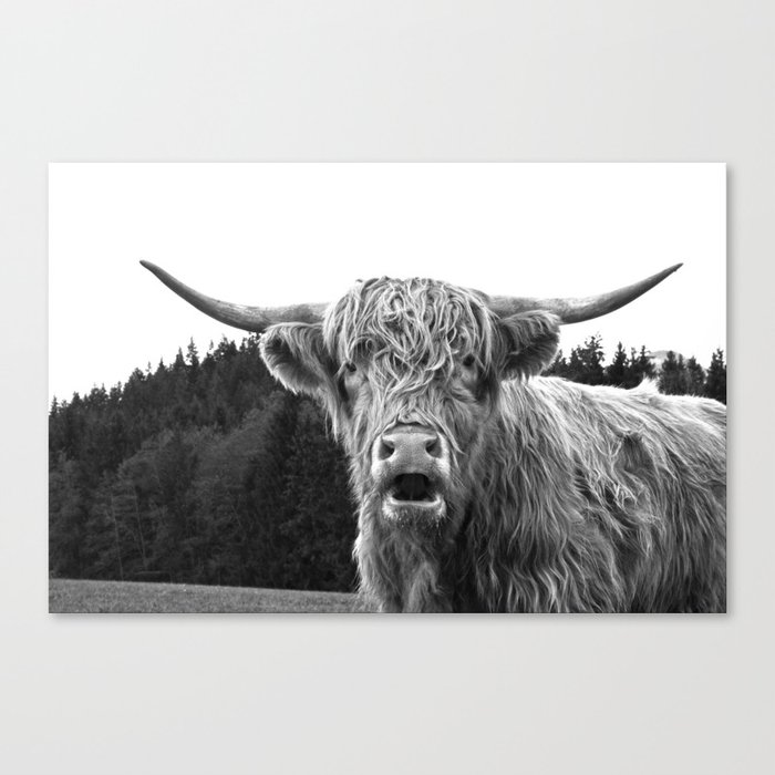 Highland Cow Black & White #1 #wall #art #society6 Canvas Print