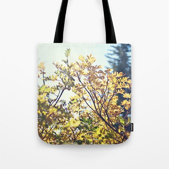 Fall Sun Tote Bag