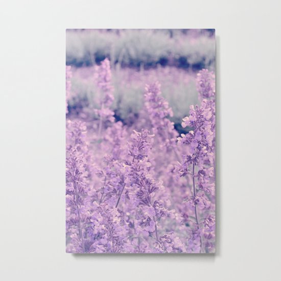 Dreamy Lavender Metal Print