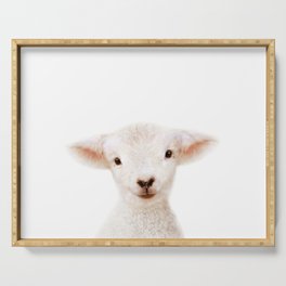 Baby Lamb, Farm Animals, Art for Kids, Baby Animals Art Print By Synplus Serving Tray