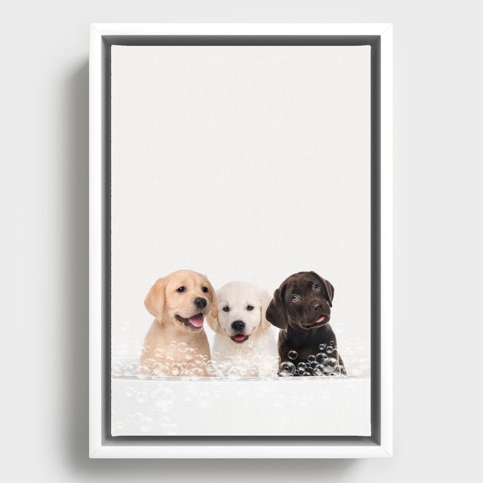 Framed Canvas
