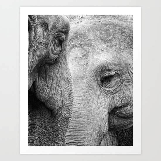 A pair of Pachyderms Art Print