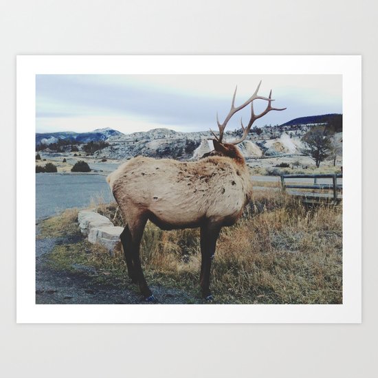 Mammoth Elk Art Print