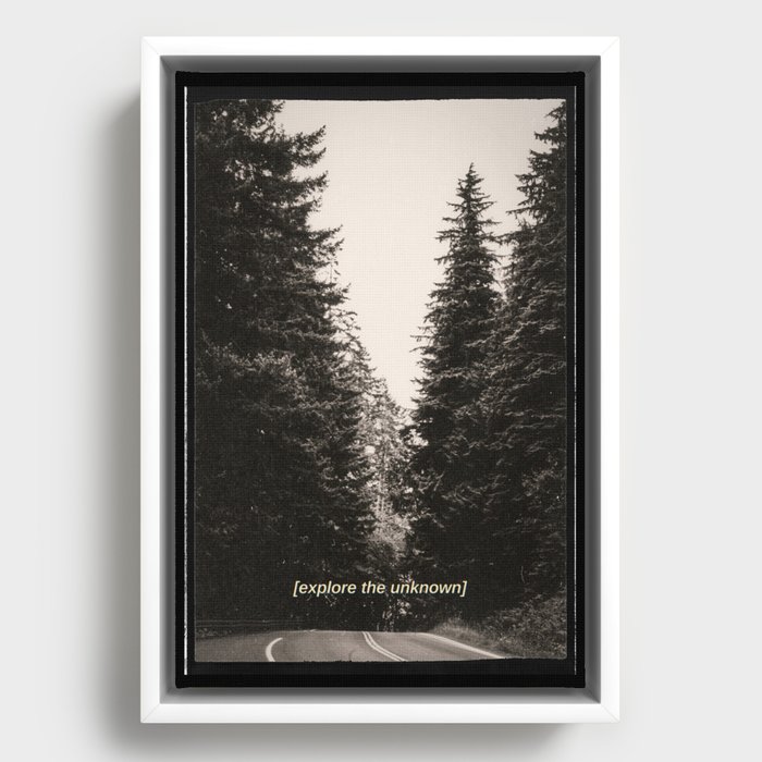 Framed Canvas