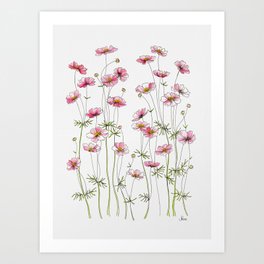 Pink Cosmos Flowers Kunstdrucke