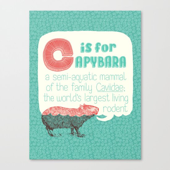C is for Capybara Canvas Print