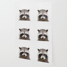 Baby Raccoon Wallpaper For Any Decor Style Society6 This baby raccoon wallpaper provides a ton of hd baby raccoons wallpapers / images to set as your background with the click of a button! society6