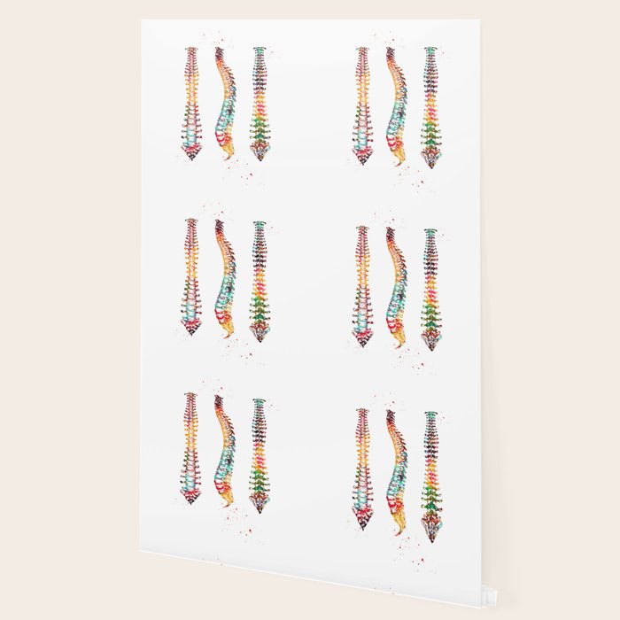 Human Spine Wallpaper By Erzebeth Society6