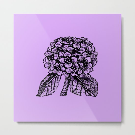 Lavender Hydrangea Metal Print