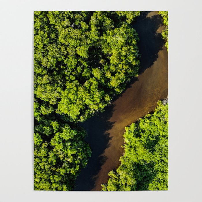 Brazil Photography - River Going Through The Rain Forest Poster