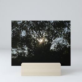 Setting Sun Mini Art Print