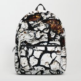 Parched Wall Backpack