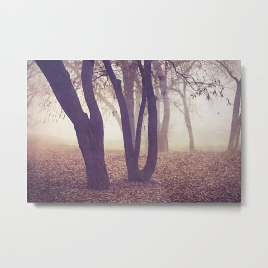 enchanted Metal Print