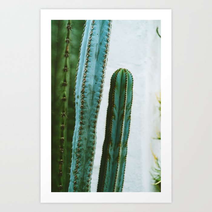 California Cactus Garden II Art Print
