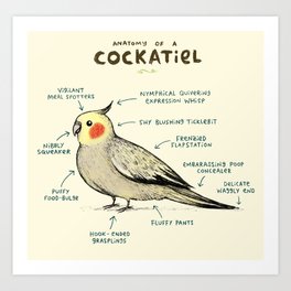 Anatomy of a Cockatiel Art Print