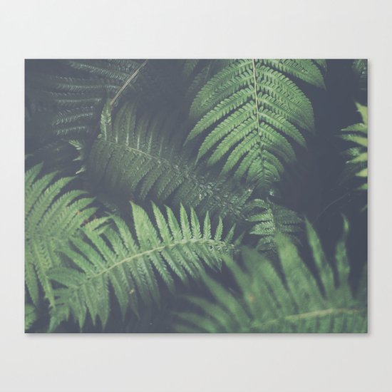 fern Canvas Print