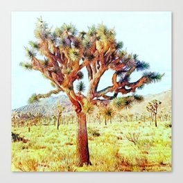 Joshua Tree VG Hills by CREYES Canvas Print