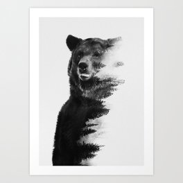 Observing Bear Art Print