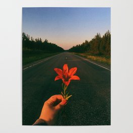 Prairie Tiger Lily Flower Poster