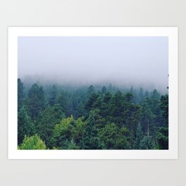Fog over the pines Art Print | Art, Digital, Nature, Photo, Travel, Color, Landscape, Trees 