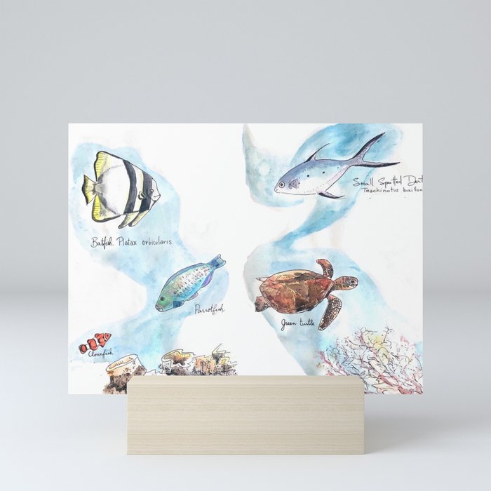Fishes of the Great Barrier Reef Mini Art Print