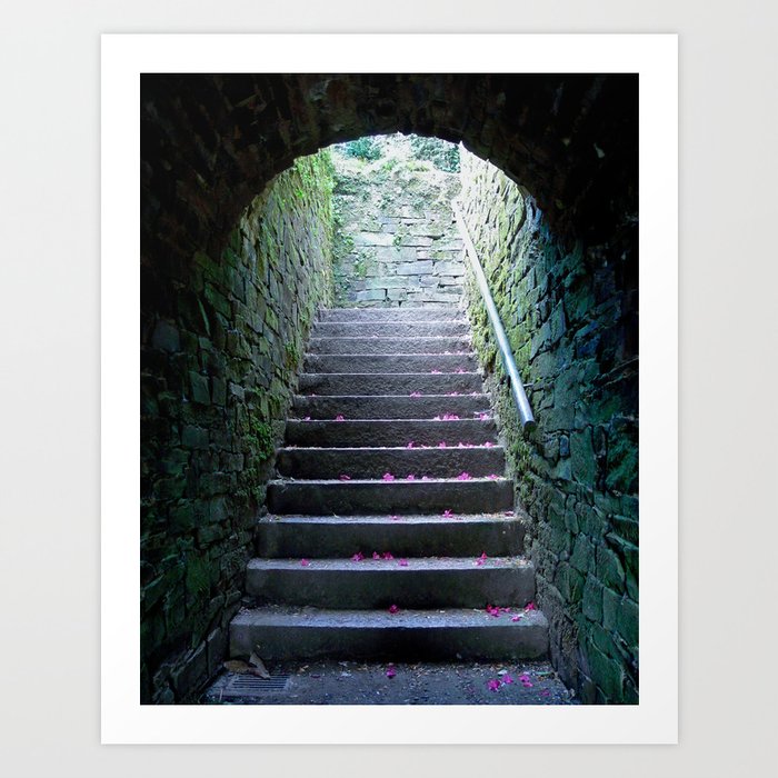 Ascension - petals on an old mossy stairwell Art Print