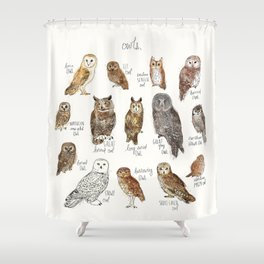 Owls Shower Curtains For Any Bathroom, Owl Shower Curtain Set