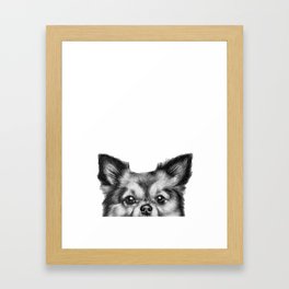 Chihuahua Print Framed Art Print