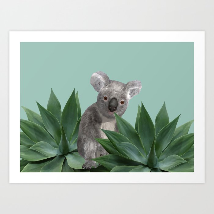Koala Bear between Agave leaves Art Print