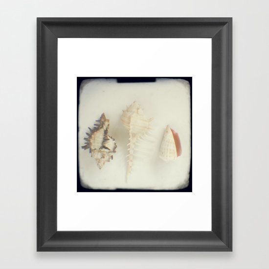 Shell trio Framed Art Print