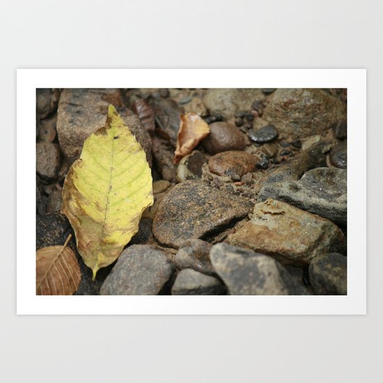 Fall. Art Print