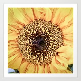 Sunflower and bee Art Print