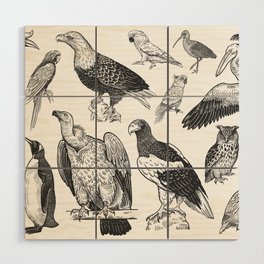 Birds of wildlife set. Eagles, owls, parrots, pelican, penguins, ibis, puffin isolated on white background. Tropical, exotic, water birds. Black white illustration. Vintage. Vintage. Realistic graphics Wood Wall Art