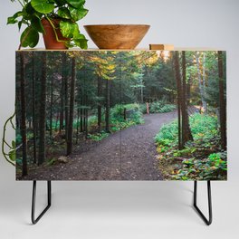 Forest Path | Travel Photography | Minnesota in Autumn Credenza