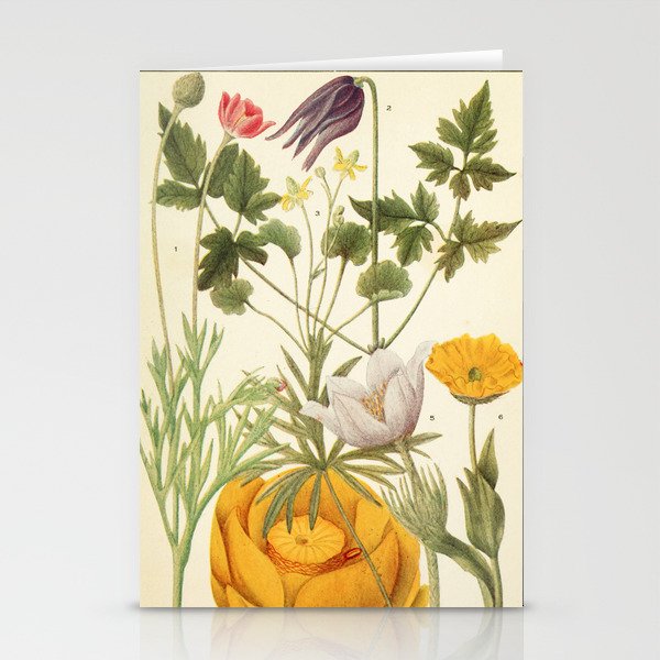 Wildflowers from "Rocky Mountain Flowers" (1914) by Edith Clements (benefitting The Nature Conservancy) Stationery Cards