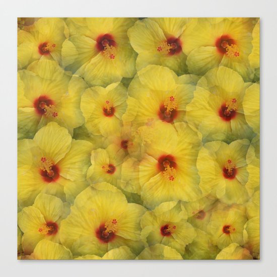 Yellow Hibiscus Canvas Print